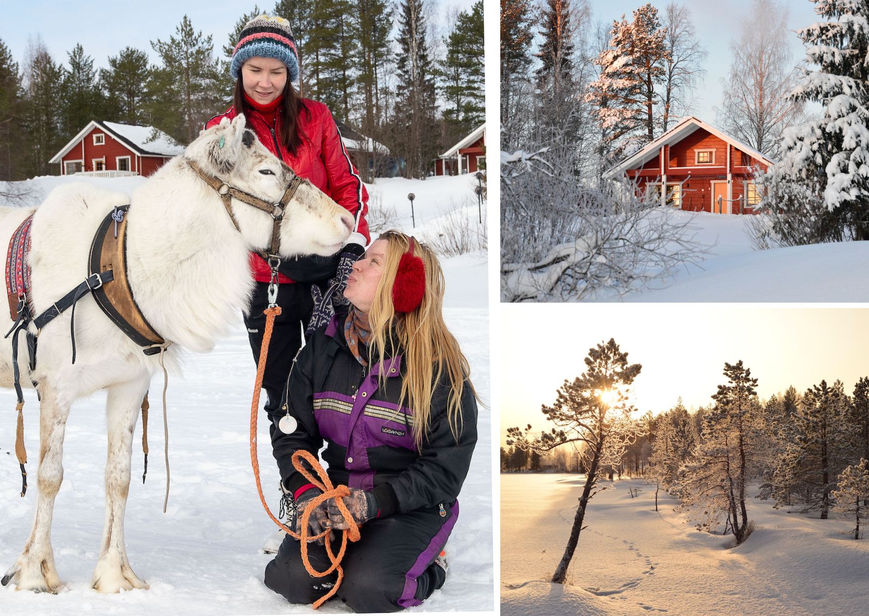 Winter holiday package with snowshoes, skis and kicksledge. 
